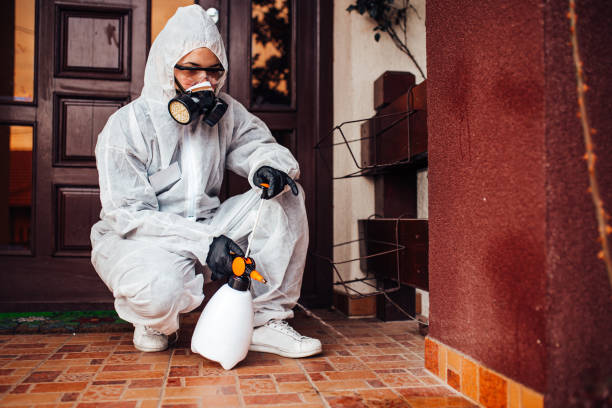 Attic and Crawl Space Rodent Treatment in Cottondale
