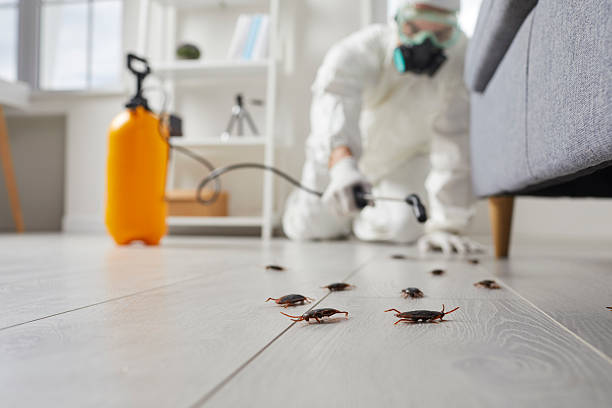 Commercial Rodent Management in Cottondale